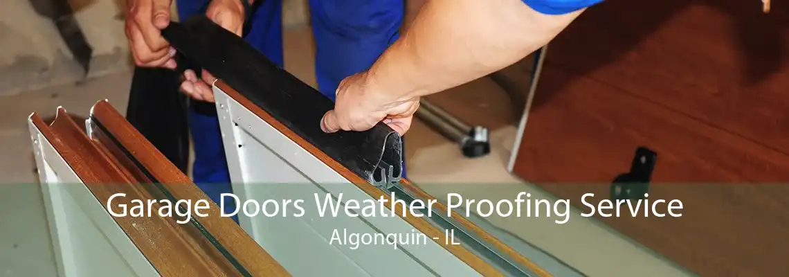 Garage Doors Weather Proofing Service Algonquin - IL