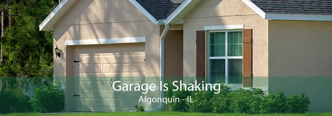 Garage Is Shaking Algonquin - IL