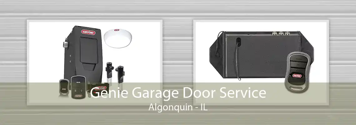 Genie Garage Door Service Algonquin - IL