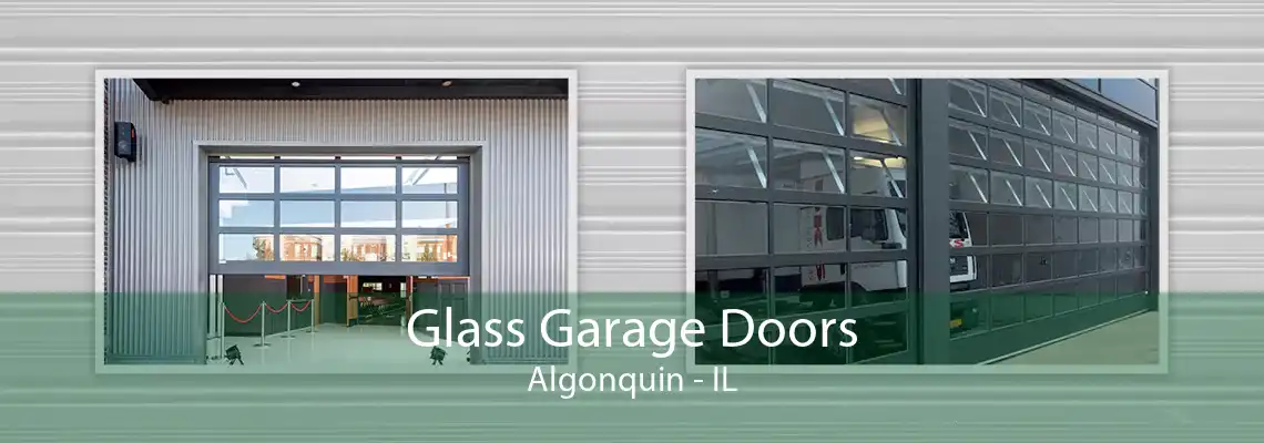 Glass Garage Doors Algonquin - IL