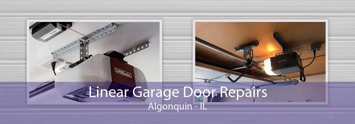 Linear Garage Door Repairs Algonquin - IL