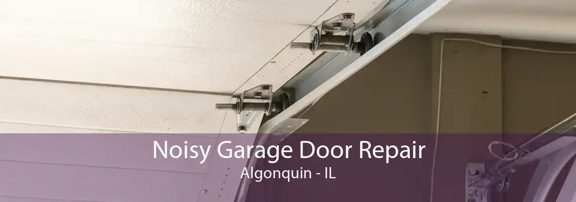 Noisy Garage Door Repair Algonquin - IL