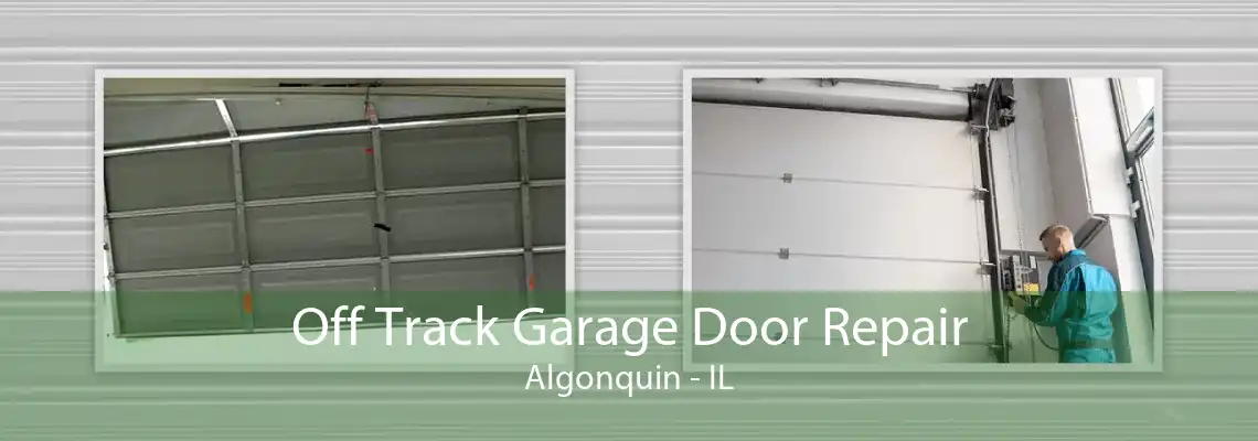 Off Track Garage Door Repair Algonquin - IL