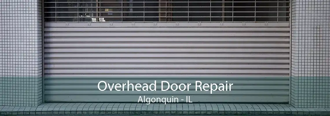 Overhead Door Repair Algonquin - IL