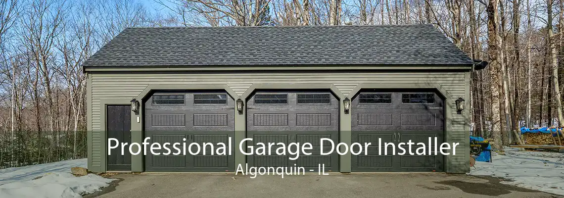 Professional Garage Door Installer Algonquin - IL