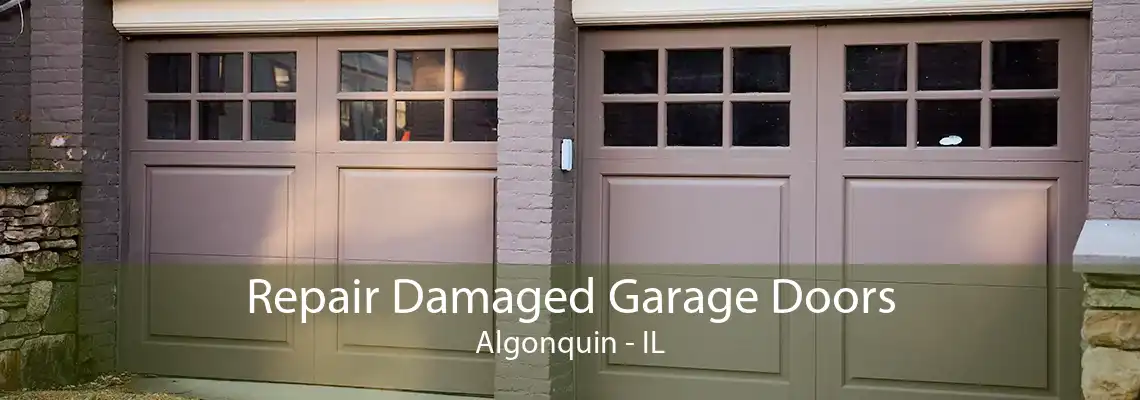 Repair Damaged Garage Doors Algonquin - IL