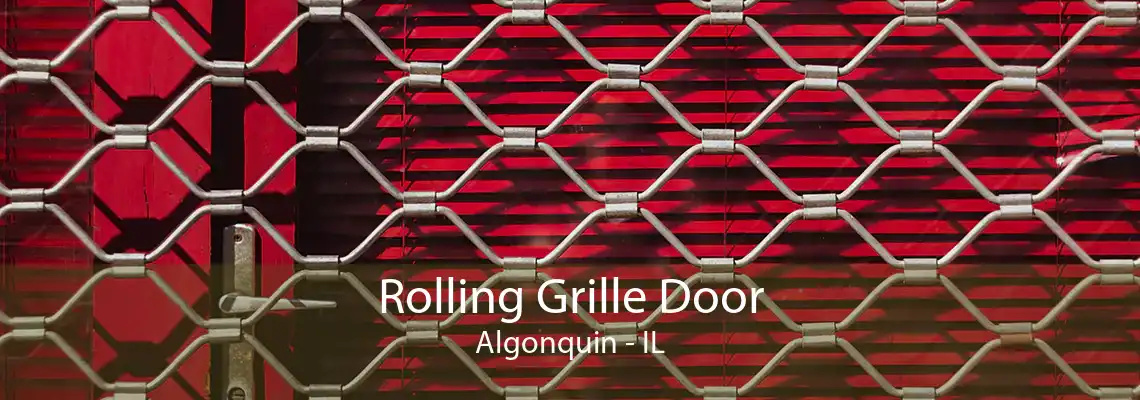 Rolling Grille Door Algonquin - IL