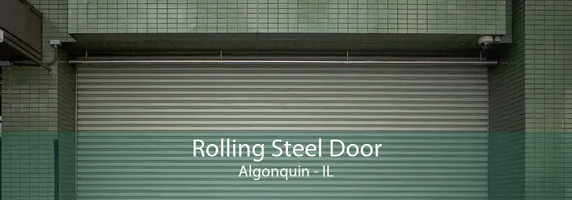 Rolling Steel Door Algonquin - IL