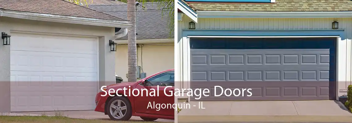 Sectional Garage Doors Algonquin - IL